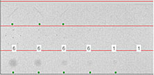 FFDM Phantom Scan